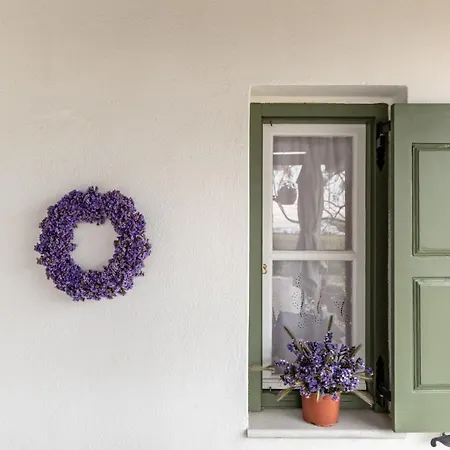 Ktima Dimitrios Holiday home