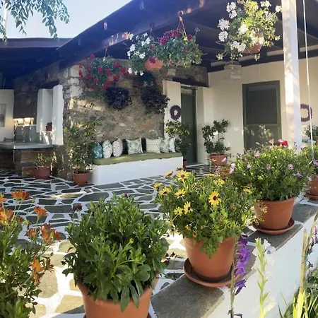 Ktima Dimitrios Holiday home *