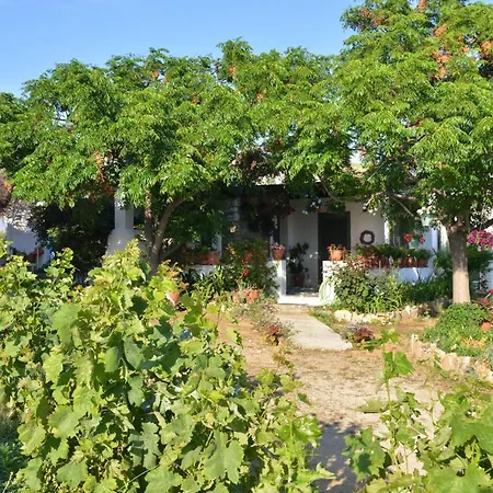 Ktima Dimitrios Holiday home *