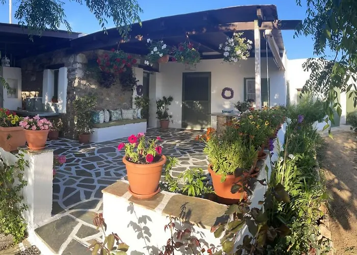 Ktima Dimitrios Naxos City