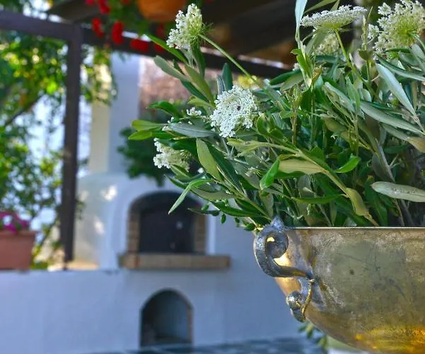 Ktima Dimitrios Dom wakacyjny Naxos City