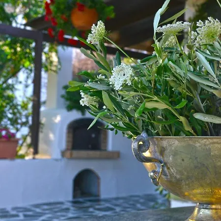 Ktima Dimitrios Hébergement de vacances Naxos City