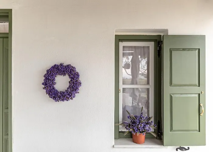 Ktima Dimitrios 度假居