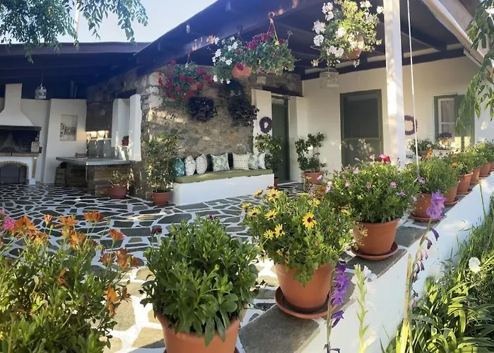 Ktima Dimitrios 度假居 *