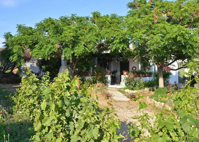 Ktima Dimitrios 度假居 *