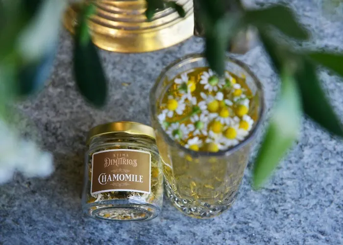 Ktima Dimitrios 度假居 *