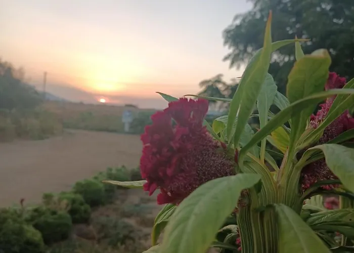 Ktima Dimitrios 度假居 *